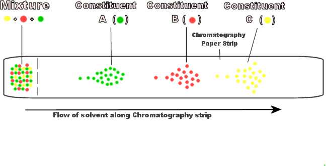 Chromatography Strip - Typical example
