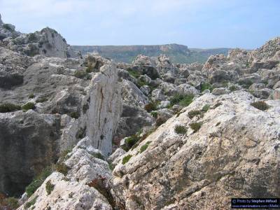 Gozo (March 2004) - - Click on image to view a larger photo. (about 300kb)