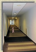 RevalHotelCorridorMiranda * Miranda in the hotel corridor. * 1663 x 2494 * (638KB)