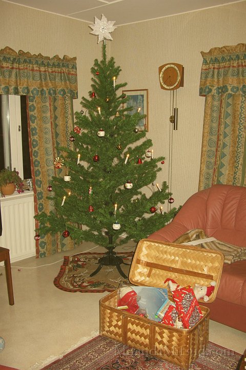 TheChristmasTree(artificial).JPG - Johan proudly presents his artificial Christmas tree !