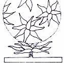 Online Flora of the Maltese Islands  2002-2019)